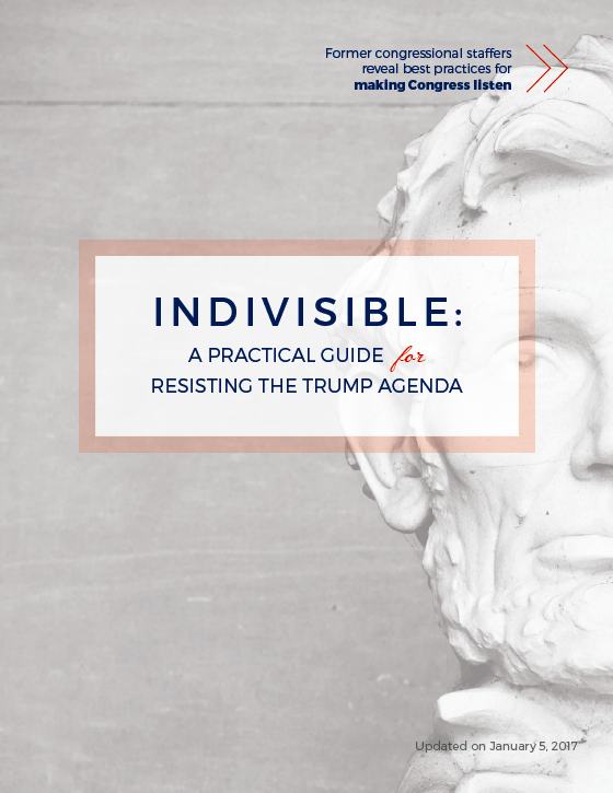 INDIVISIBLE: A Practical Guide for Resisting the Trump Agenda