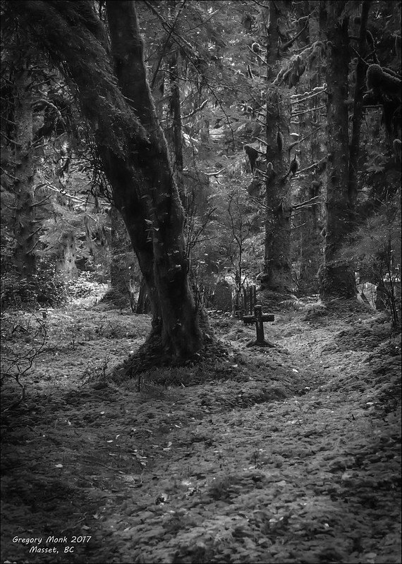 A dark, wooded area with a moss covered grave marker