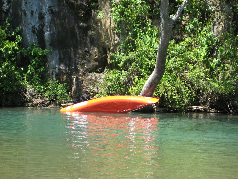 Capsized orange canoe against the bank of a river