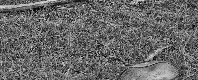 Black-and-white image of a deflated ball in tall grass.