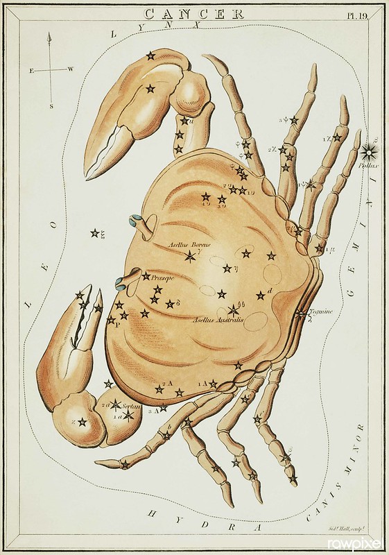 Image of Cancer (a crab) from an astrological chart.