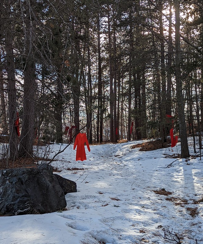 Photo of a forest with red dresses hanging along a path, to represent missing and murdered Indigenous women.